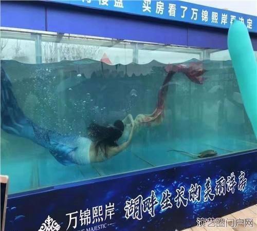 海洋展出租海洋生物展出租租赁海洋鱼缸展出租出售