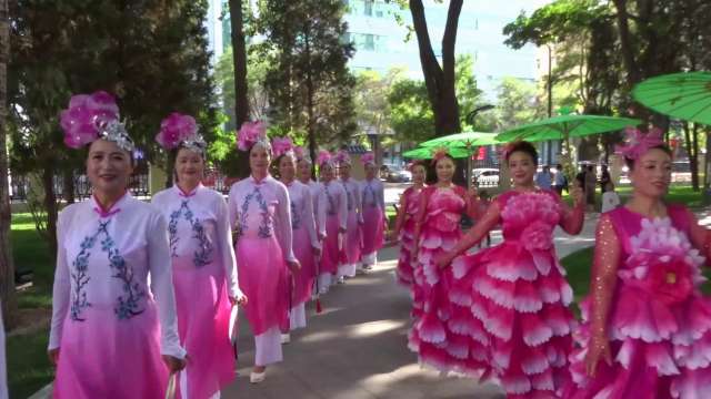 白银市老年大学舞蹈中级班 （花开中国）演出视频