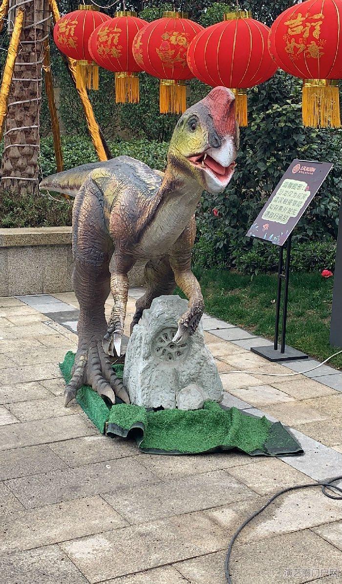 各种大型恐龙模型恐龙主题活动策划欢迎定制恐龙服装