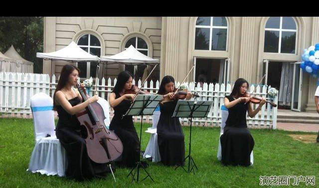 提琴乐队组合迎宾乐队