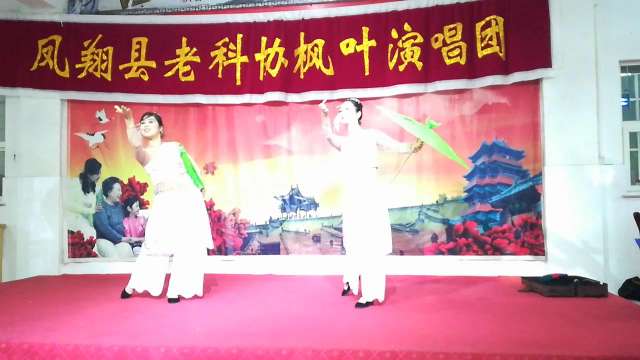 枫叶民乐园演出舞蹈
