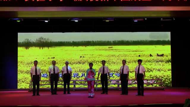 兴化市教协、实验小学庆祝新中国70华诞联欢演出录像。2019.9.24.