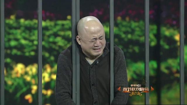 江苏卫视2013春晚 贾玲小品《脑袋被门夹了》