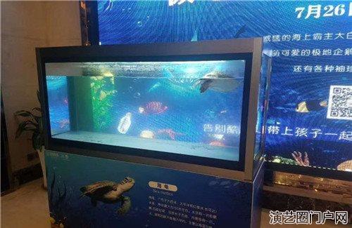 海洋展活动出租 海狮表演租赁