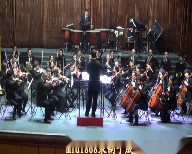 意大利卢卡百合歌剧院交响乐团来山东省成武县演出（七）