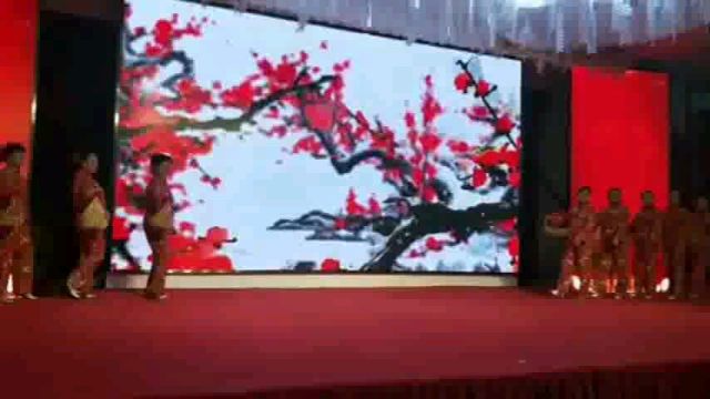 武汉市严冰艺术团参加群艺荟萃2019年终盛典。演出节目《祈福》，《沂蒙颂》。
