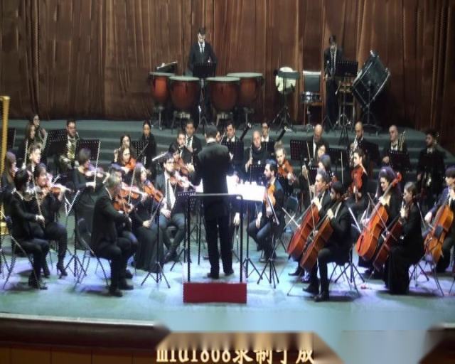 意大利卢卡百合歌剧院交响乐团来山东省成武县演出（六）
