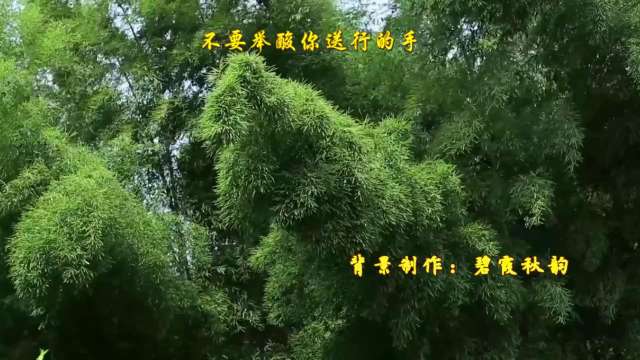 再见了大别山-伴奏演唱-舞台演出背景(另有同版伴奏)