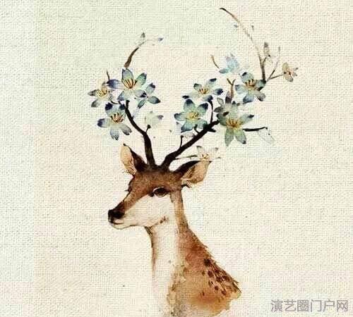 【原创】一只鹿