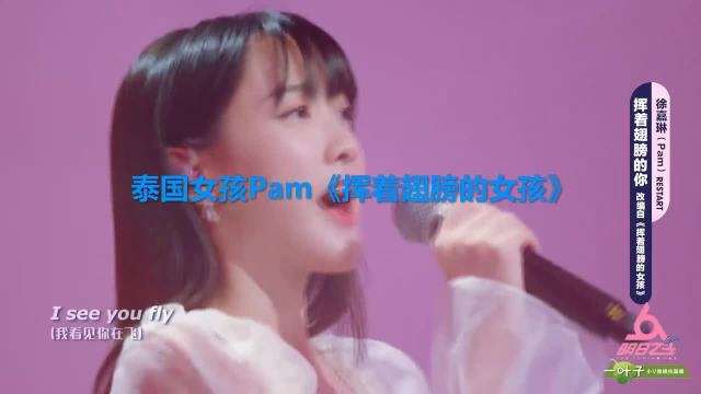 Pam在中国演唱惊艳众人，盘点华语歌手在外国演出，太好听了！