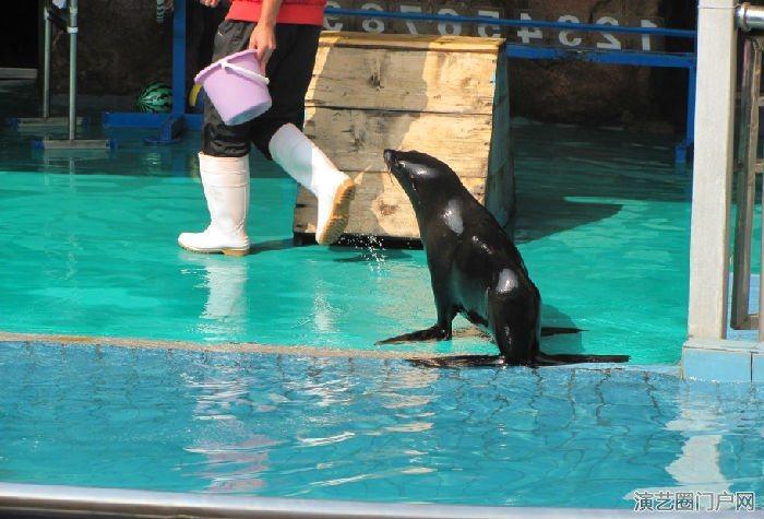 大型海洋生物出租网红海洋展主题活动租赁报价表