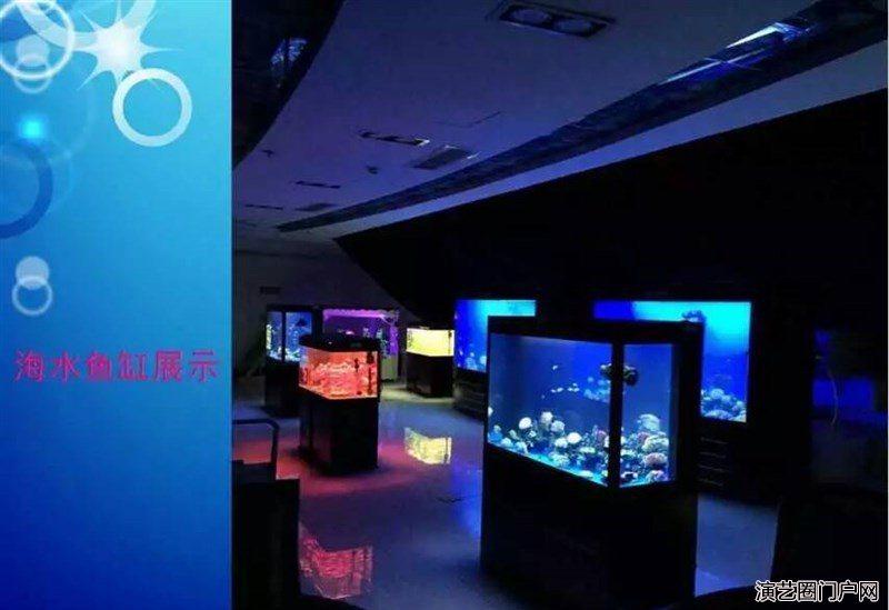 全国互动 大型海洋生物 展览展会