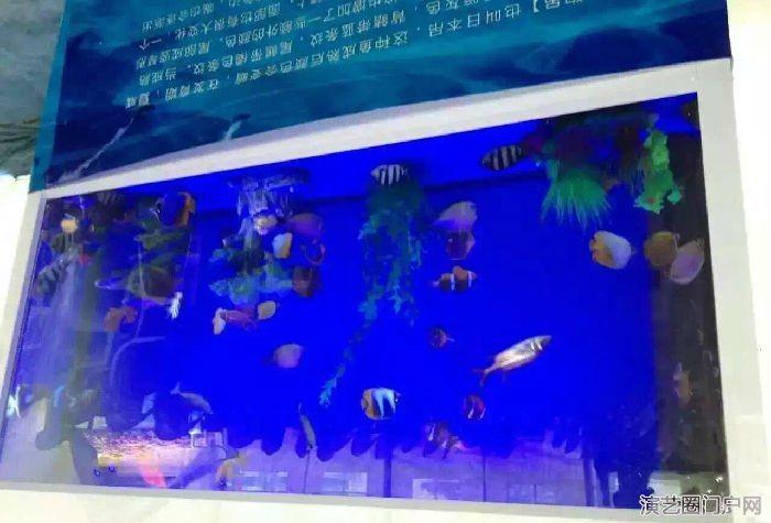 大型海洋生物出租网红海洋展主题活动租赁报价表