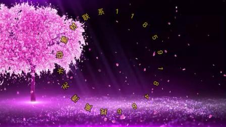 樱花树下的约定  歌曲舞台演出LED背景视频素材