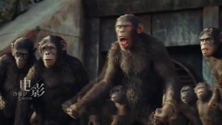 《猩球崛起：新世界》：一群猩猩演出了最真实的人类社会矛盾史！